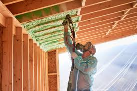 Best Blown-In Insulation  in North Las Vegas, NV