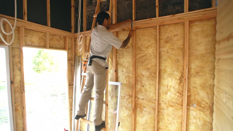 Best Spray Foam Insulation  in North Las Vegas, NV